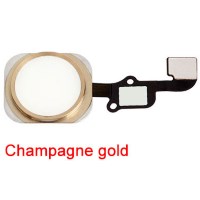 Mobile home button assembly - Gold obrázek produktu